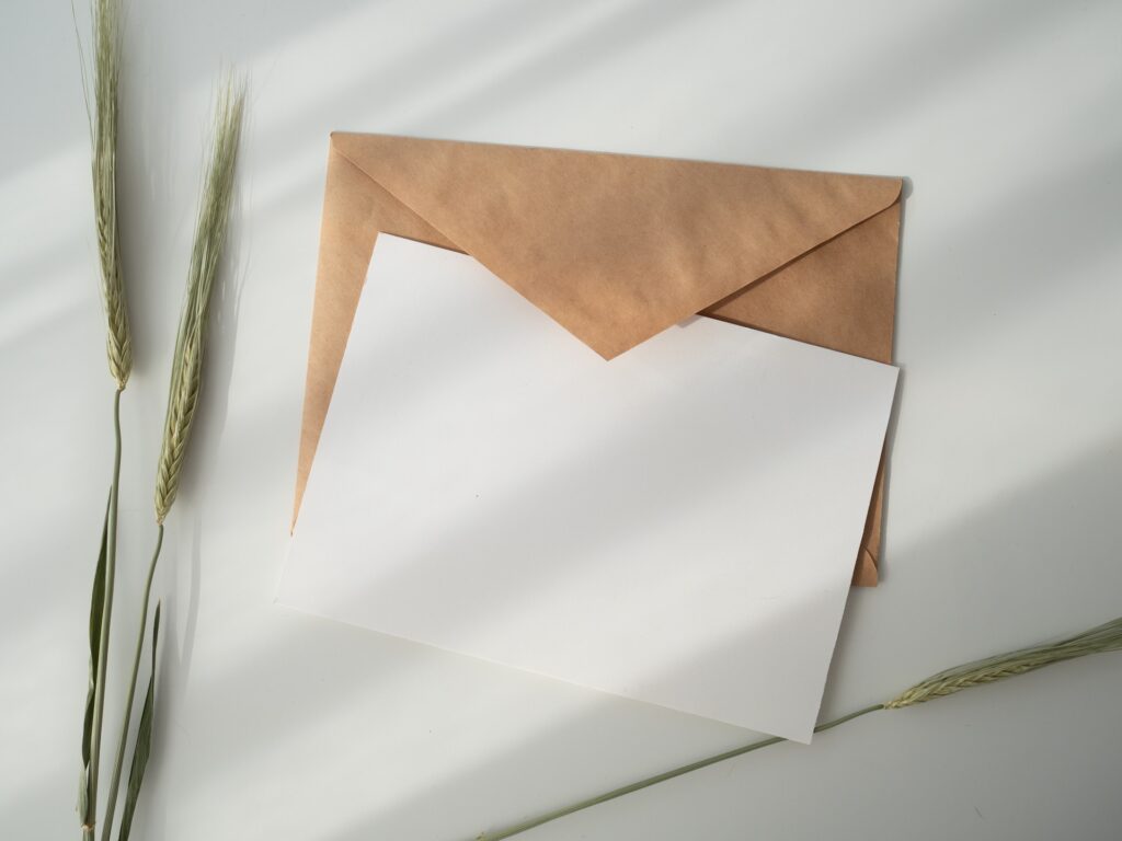 A minimal, top-down photograph of an open kraft paper envelope resting on a white surface, catching soft diagonal shadows from a window. A blank white card sits partially inside the envelope. Two stalks of dried green wheat lie gracefully along the left and bottom edges of the frame.