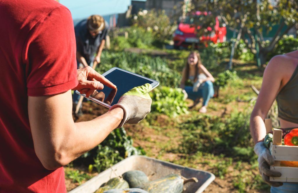 A person in a red shirt holding a tablet in a garden, with other team members working in the background, illustrating the collaborative, hands-on environment at the Eli's Place residential treatment and transition centre.