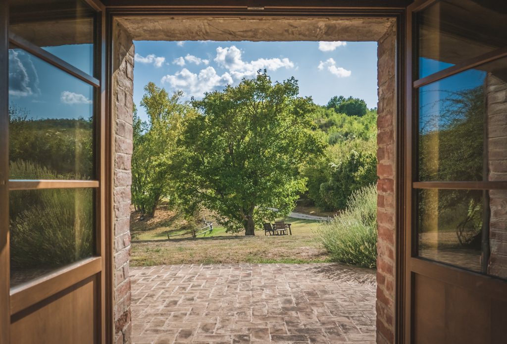 A view from inside a building looking out through large, open double doors onto a stone patio and a lush green field. Outside, there is a large, healthy tree in the middle of a grassy lawn under a bright blue sky with scattered white clouds.