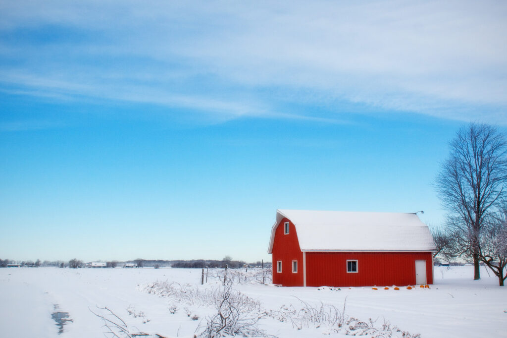A vibrant photograph of a classic red rustic barn with a white snow-covered roof, standing in a vast, pristine snowy field under a bright blue sky with light streaks of clouds. A bare winter tree frames the right side of the image, and small orange pumpkins are lined up along the snow next to the barn.