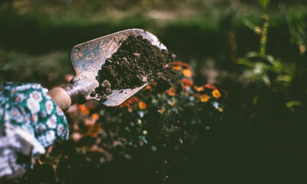 A close-up, eye-level shot focuses on a weathered metal gardening trowel scooping up rich, dark brown soil in a vibrant garden. The trowel holds a small mound of dirt, positioned just above a cluster of soft, orange and yellow marigold flowers blooming in the background. The surroundings are filled with lush green foliage and warm, dappled sunlight, creating a soft blur that emphasizes the act of gardening.