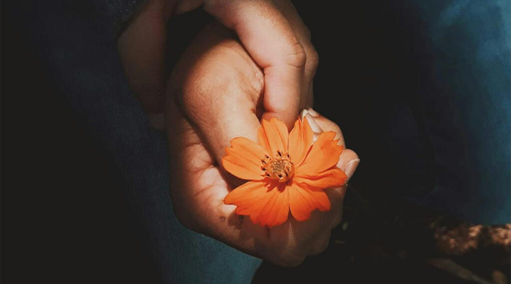 A close-up of two people holding hands, with one hand gently cupping the other as it holds a vibrant orange flower, symbolizing care and hope.