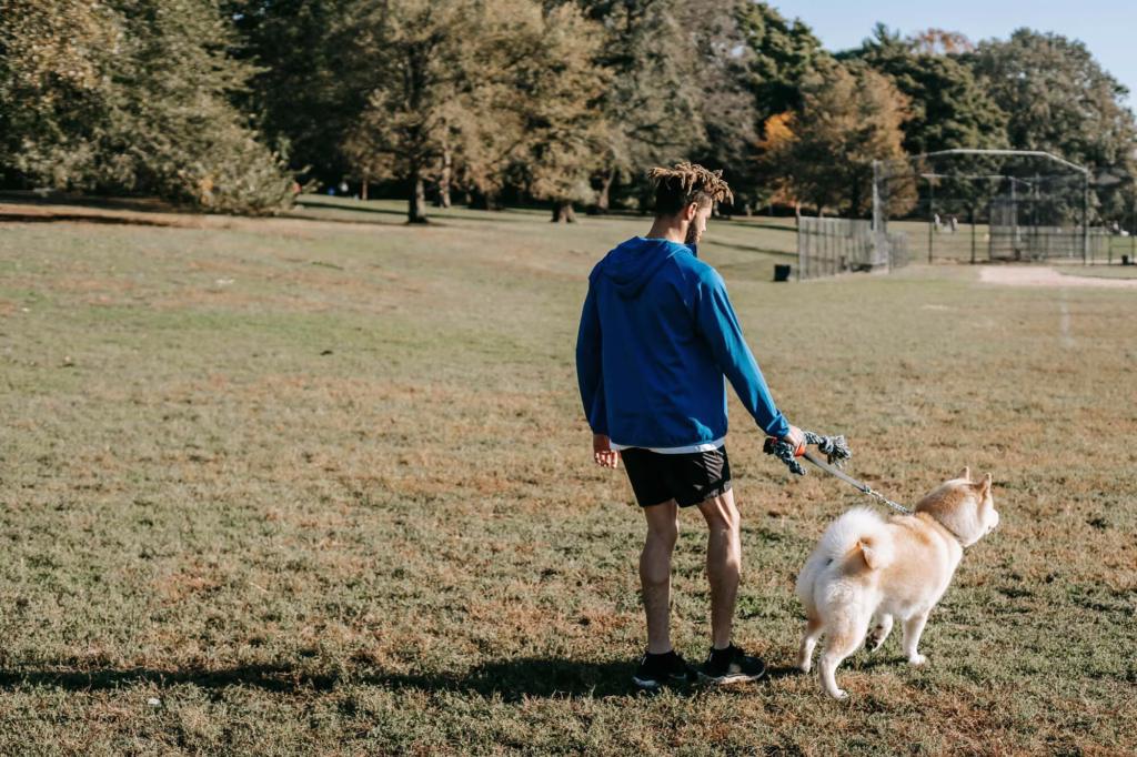 A man with dreadlocks, wearing a blue hooded jacket and black shorts, walking a fluffy Shiba Inu dog on a leash across a wide, sunny grass field at a park with trees and a baseball diamond in the background.