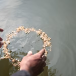 Hands letting go of a flower crown in water. Eli's Place blog about Mental Illness Grief