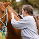 Animal and Nature Therapy — A young adult woman with a horse, green grass and trees in the background with some people out of focus in the distance, for animal and therapy at Eli's Place