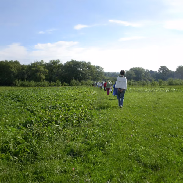 People walking in the field